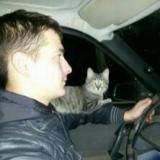киселев денис 